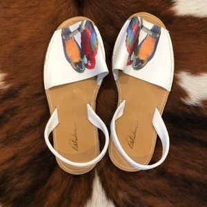 Parrot sandals